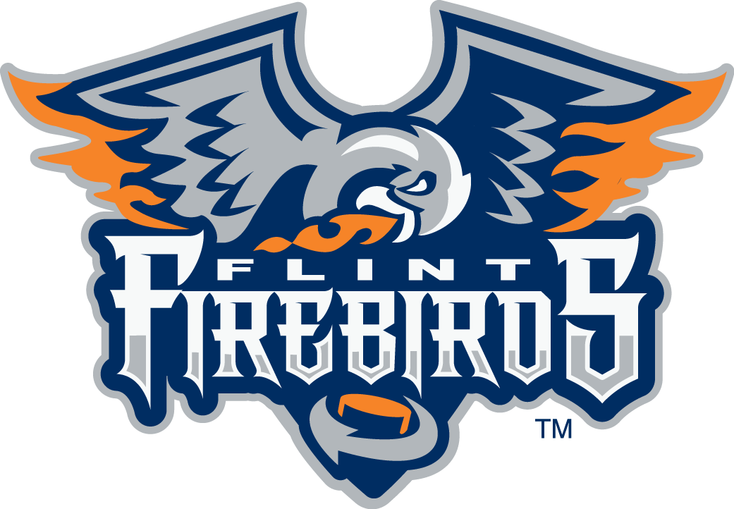 Flint Firebirds 2015-Pres Primary Logo iron on heat transfer